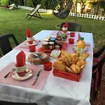 En Pierre Le Paradis Parc Cloture Jacuzzi 5 Places Piscine Au Perigord Pourpre 9km De Bergerac 펜션